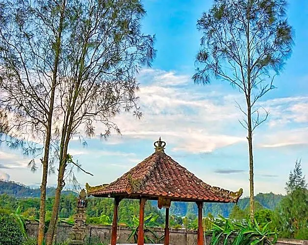 Mapa View