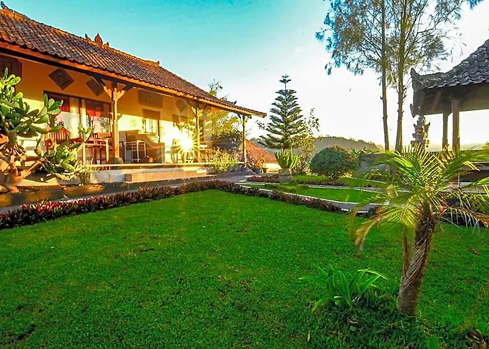 Mapa View